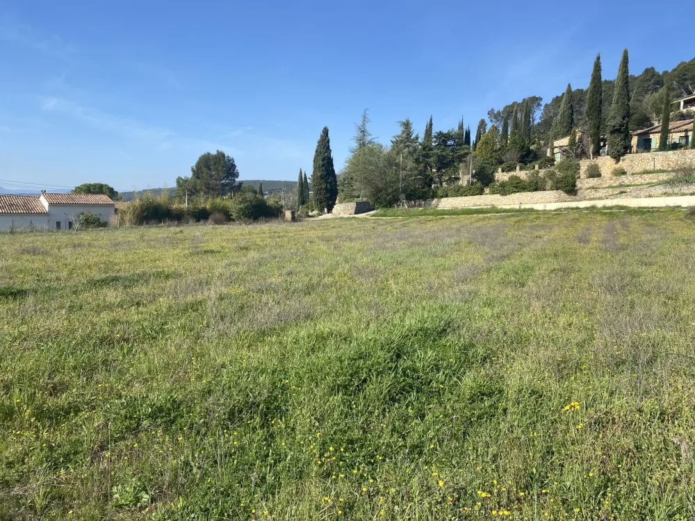 Image du modèle de maison IMG_1876