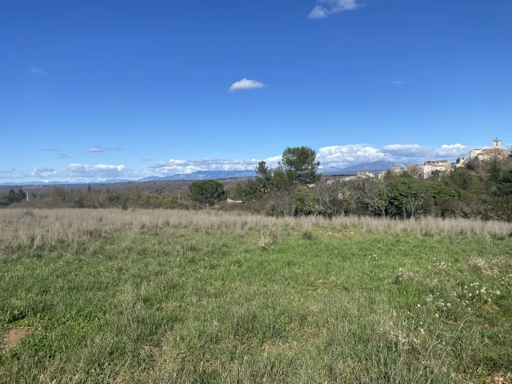 Image du modèle de maison IMG_1795