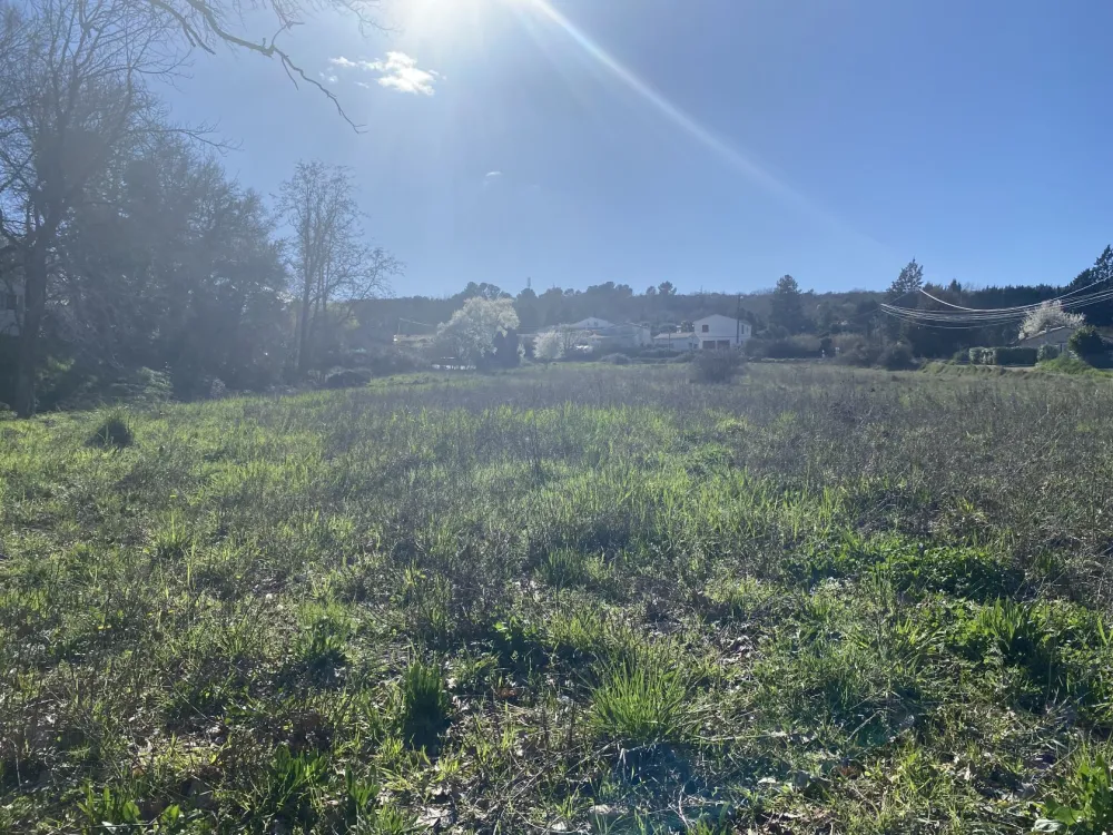 Image du modèle de maison IMG_1799