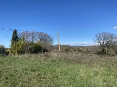 Image du modèle de maison IMG_1801