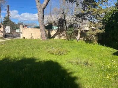 Image du modèle de maison IMG_5486