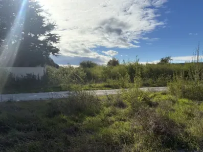 Image du modèle de maison IMG_1108-preview