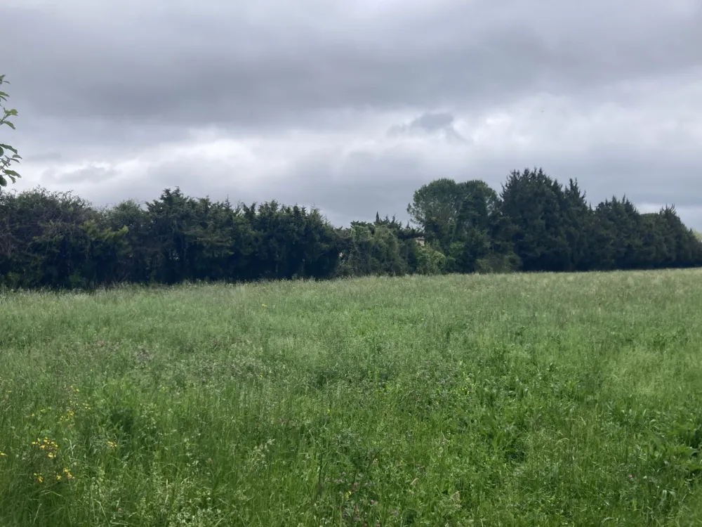 Image du terrain Terrain à bâtir de 650 m² à L'ISLE-SUR-LA-SORGUE (84)