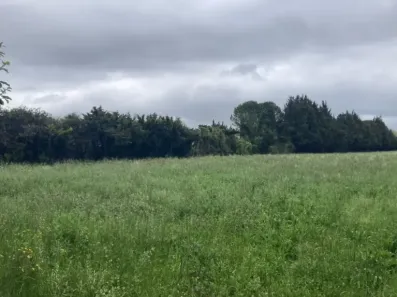 Image du modèle de maison IMG_4580-preview