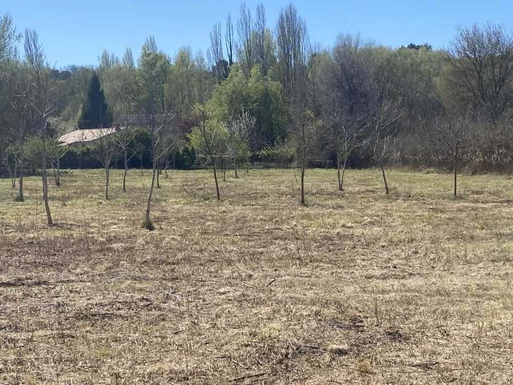 Image du modèle de maison IMG_1962