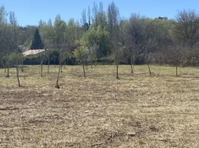 Image du modèle de maison IMG_1962