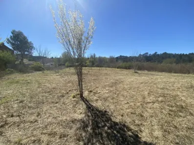 Image du modèle de maison IMG_1964