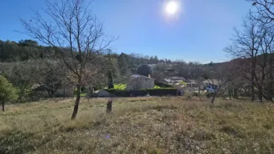 Image du modèle de maison 1000032459