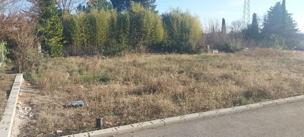 Image du modèle de maison 1000012390