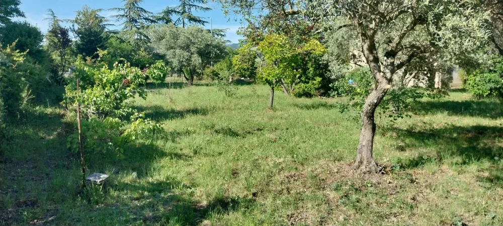 Image du modèle de maison 1000014796