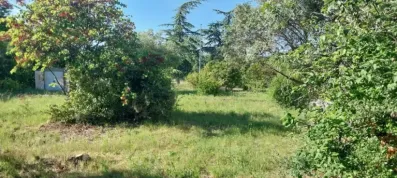 Image du modèle de maison 1000014797