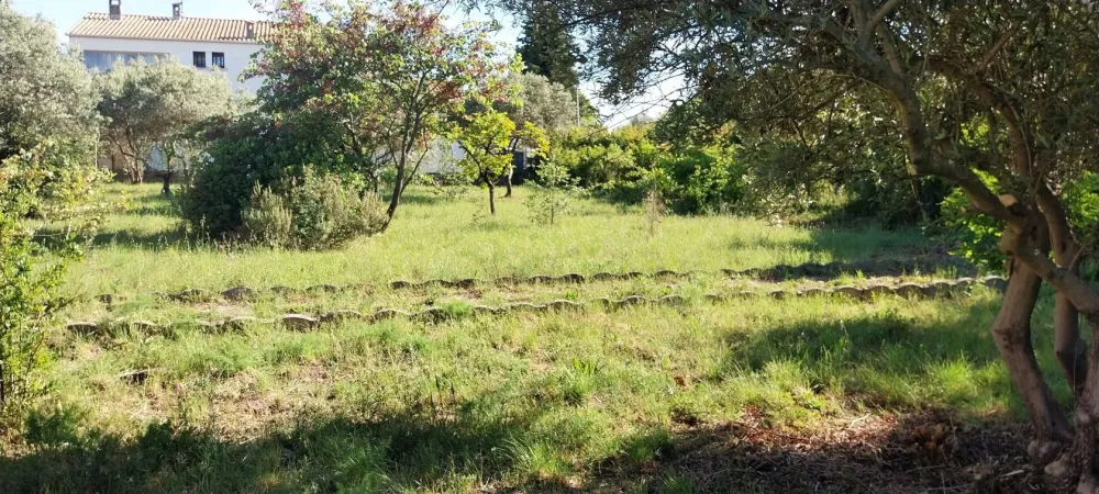 Image du modèle de maison 1000014799
