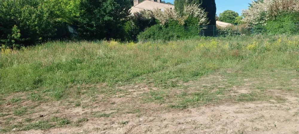 Image du modèle de maison 1000014788