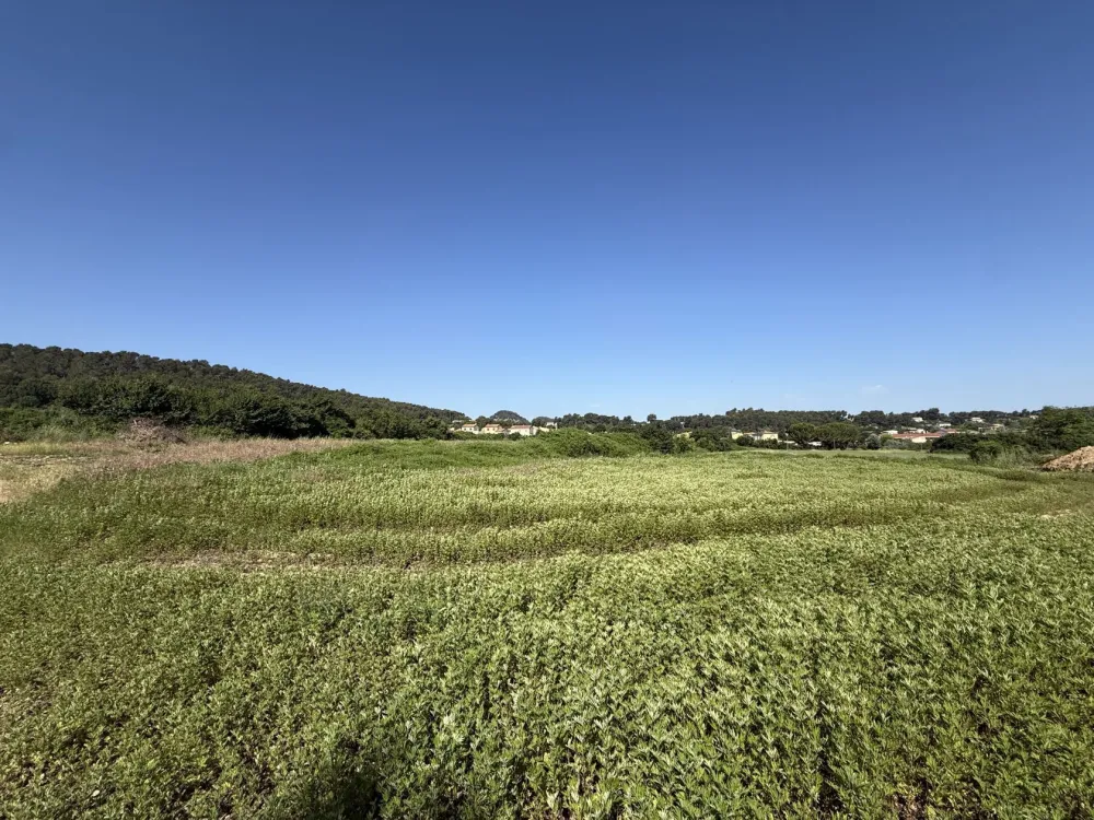 Image du terrain Terrain à bâtir de 905 m² à GARDANNE (13)