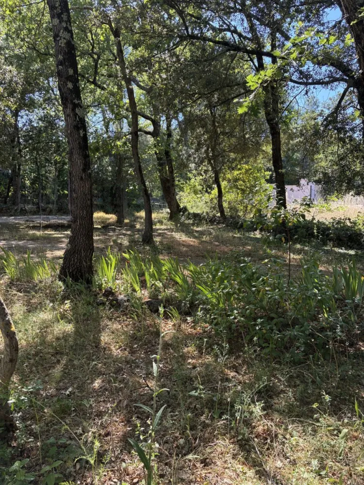 Image du modèle de maison GAREOULT - 168K€