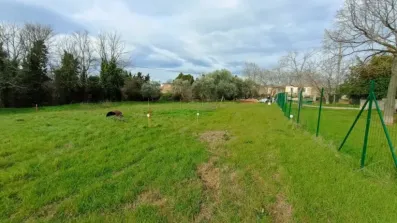 Image du modèle de maison 3