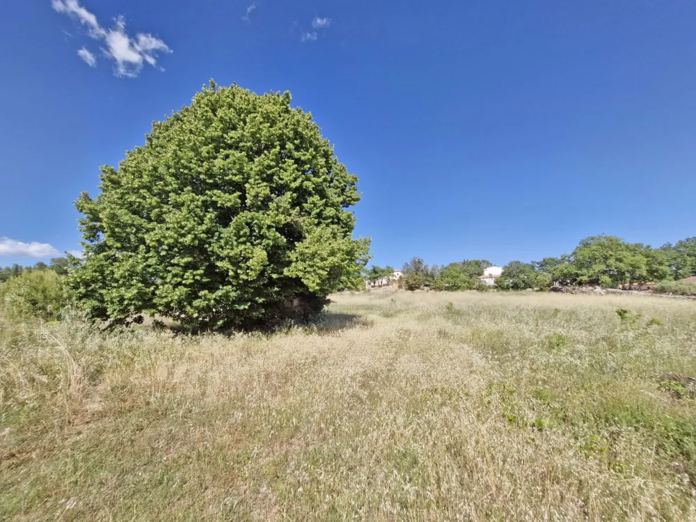 Image du terrain Terrain à bâtir de 1000 m² à SAINT-ANTONIN-DU-VAR (83)