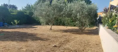 Image du modèle de maison 1000015657