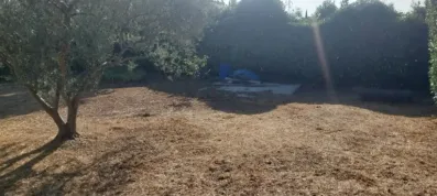 Image du modèle de maison 1000015658