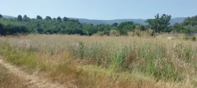 Image du modèle de maison 1000016042