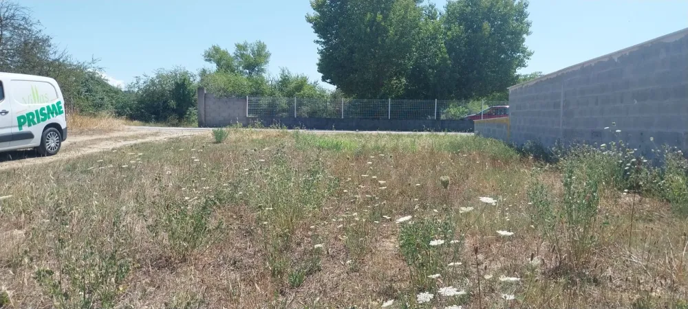 Image du modèle de maison 1000016129