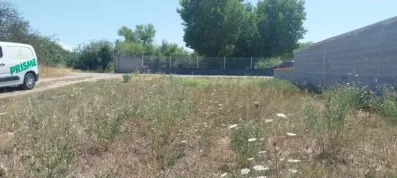 Image du modèle de maison 1000016129
