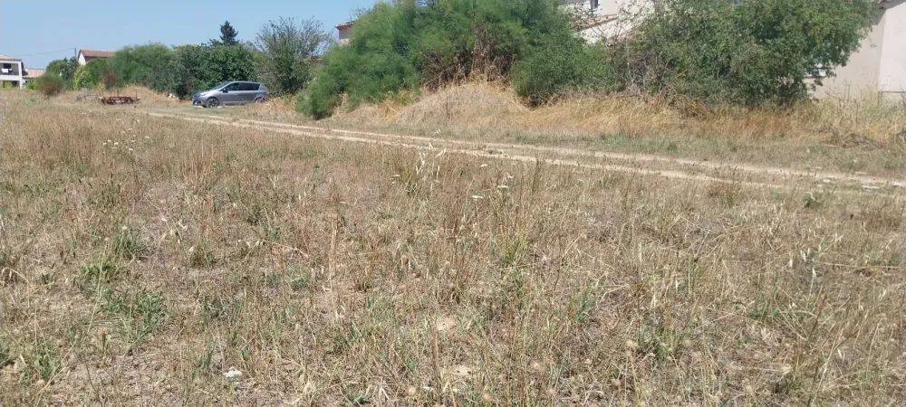 Image du modèle de maison 1000016130