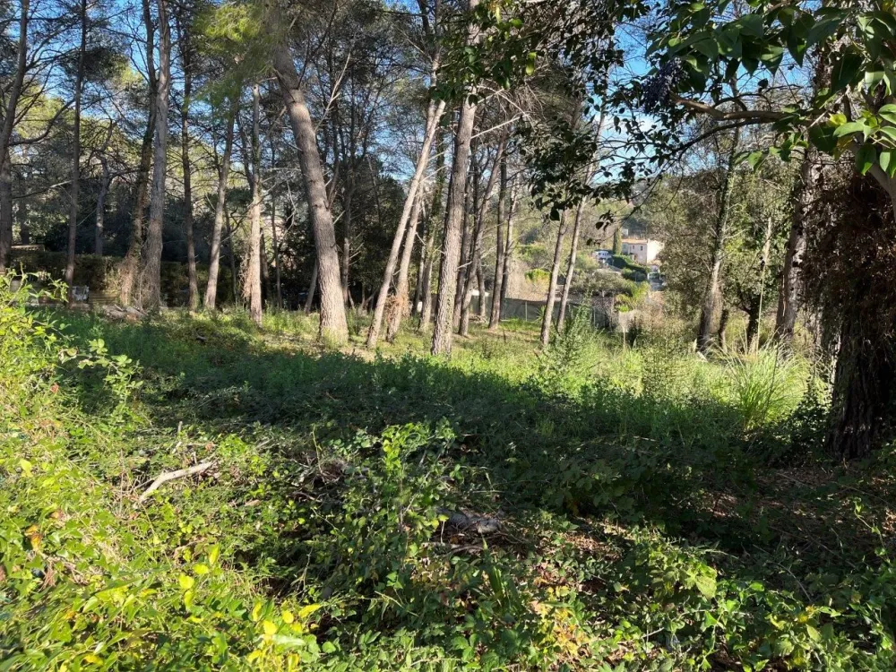 Image du modèle de maison MOUGINS 2 villas (3)