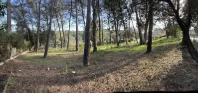 Image du modèle de maison MOUGINS 2 villas (5)