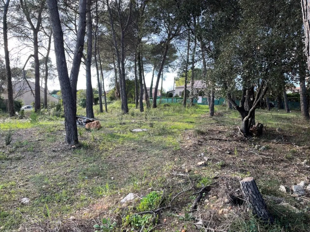 Image du modèle de maison MOUGINS 2 villas (8)