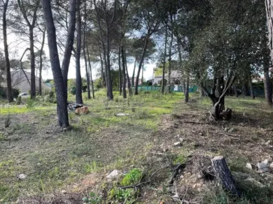 Image du modèle de maison MOUGINS 2 villas (8)